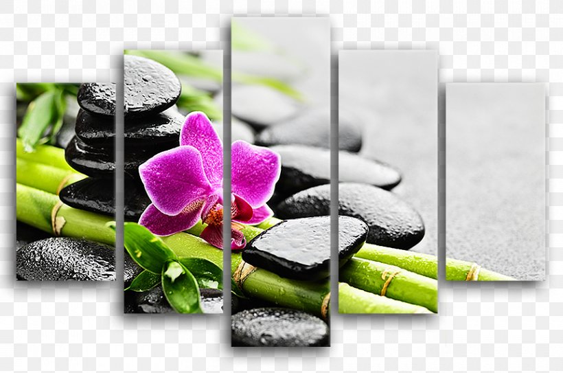 Moth Orchids Pebble Tableau Paper, PNG, 860x570px, Orchids, Bathroom, Canvas, Cheap, Decoration Download Free