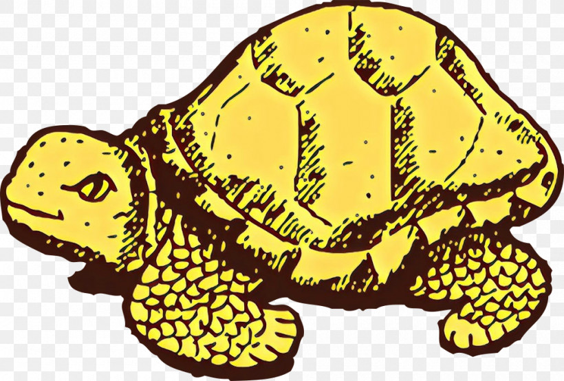 Pond Turtle Tortoise Turtle Reptile Animal Figure, PNG, 1000x676px, Pond Turtle, Animal Figure, Reptile, Tortoise, Turtle Download Free