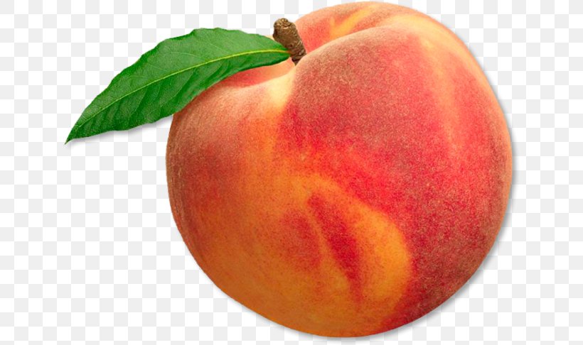 Apple Leaf, PNG, 645x486px, Peach, Apple, Apricot, Drawing, Drupe Download Free