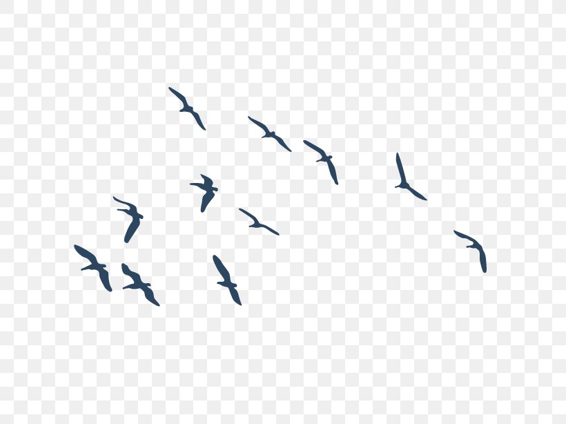 Bird PhotoScape GIMP, PNG, 614x614px, Bird, Beak, Blue, Channel, Drawing Download Free