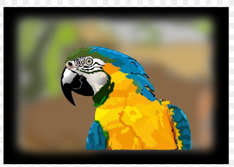 Blue-and-yellow Macaw Clip Art, PNG, 2400x1714px, Macaw, Beak, Bird, Blueandyellow Macaw, Common Pet Parakeet Download Free