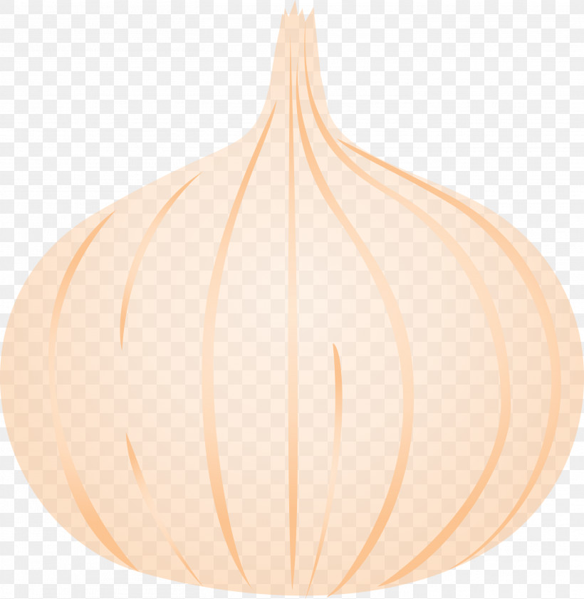 Onion, PNG, 2922x3000px, Onion, Ceiling, Ceiling Fixture, Lighting Download Free