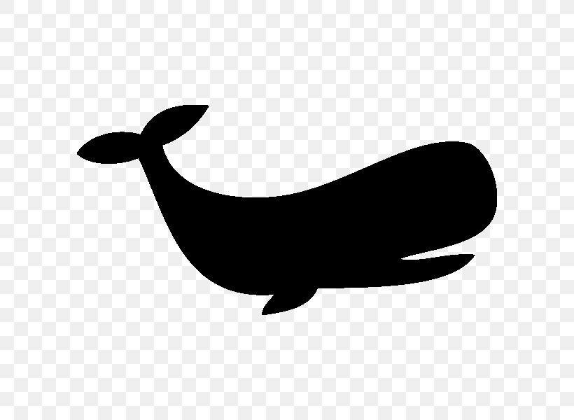 Silhouette Stencil Drawing Sea Lion Clip Art, PNG, 600x600px, Silhouette, Art, Beak, Black And White, Drawing Download Free