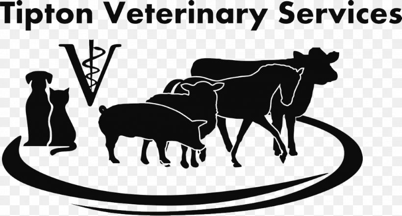 Tipton Veterinary Services Veterinarian Dairy Cattle Veterinary Medicine, PNG, 1024x553px, Veterinarian, Black, Black And White, Brand, Cat Download Free