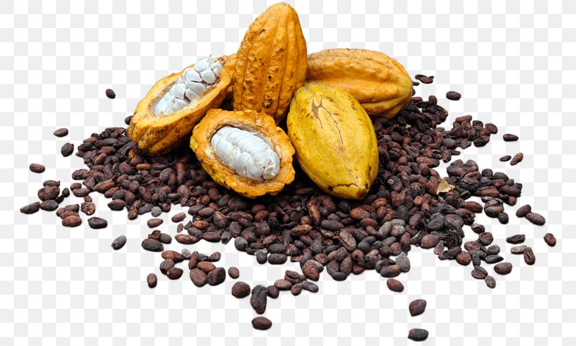Cocoa Bean Cocoa Solids Raw Chocolate Raw Foodism, PNG, 772x493px, Cocoa Bean, Chocolate, Cocoa Butter, Cocoa Processing Company, Cocoa Solids Download Free
