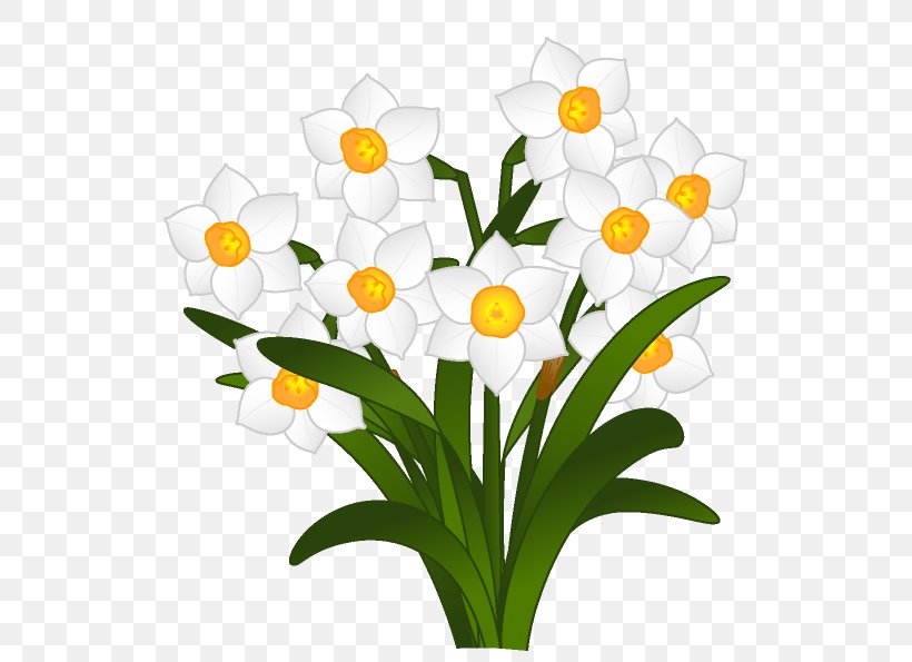 Cut Flowers Bunch-flowered Daffodil Clip Art, PNG, 569x595px, Cut Flowers, Amaryllidaceae, Amaryllis Family, Branch, Bud Download Free