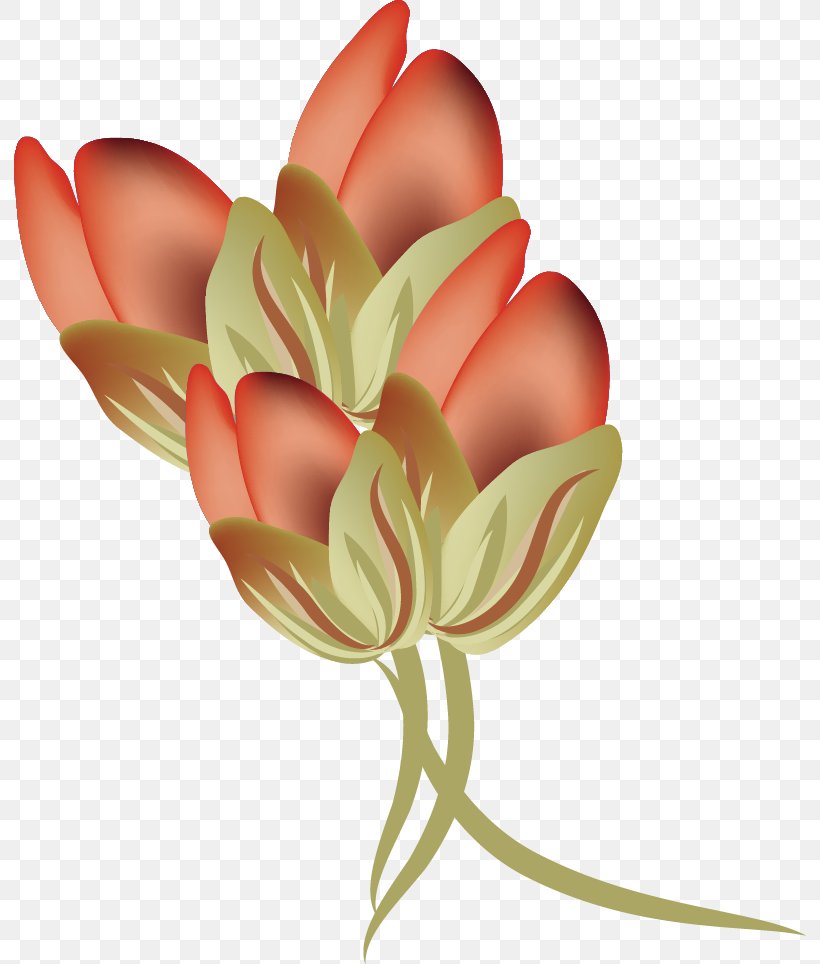 Vector Rose Bud, PNG, 792x964px, Rose, Bud, Cut Flowers, Floral Design, Floristry Download Free
