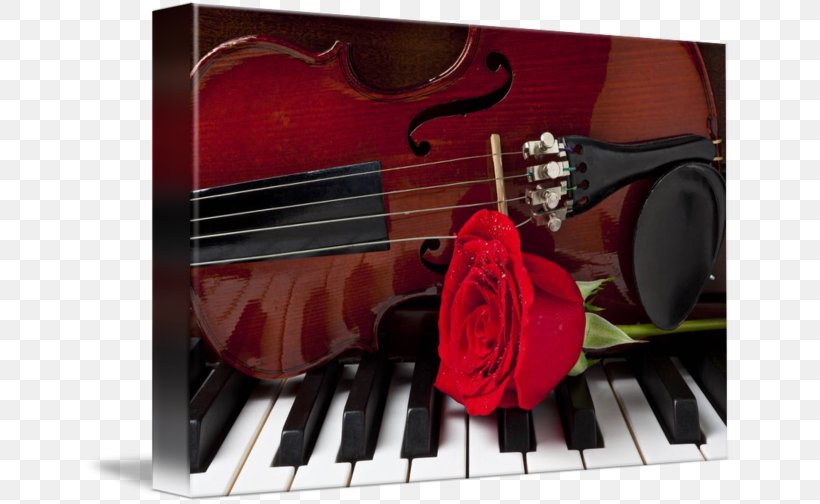 Violone Violin Cello Viola Piano, PNG, 650x504px, Watercolor, Cartoon, Flower, Frame, Heart Download Free