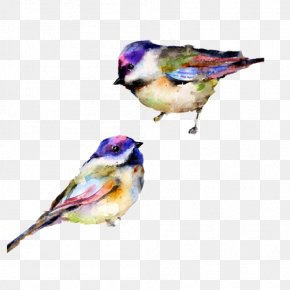 Sparrow Color Drawing Material Picture - Watercolor Painting Art Drawing PNG