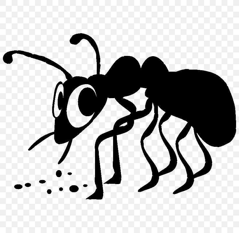 Ant Clip Art, PNG, 800x800px, Ant, Arthropod, Artwork, Black And White, Cartoon Download Free