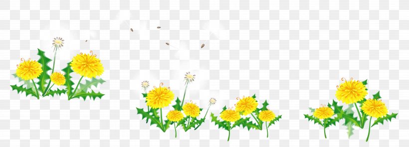 Common Dandelion Flower Pissenlit Floral Design, PNG, 7483x2700px, Common Dandelion, Chrysanths, Cut Flowers, Daisy Family, Dandelion Download Free