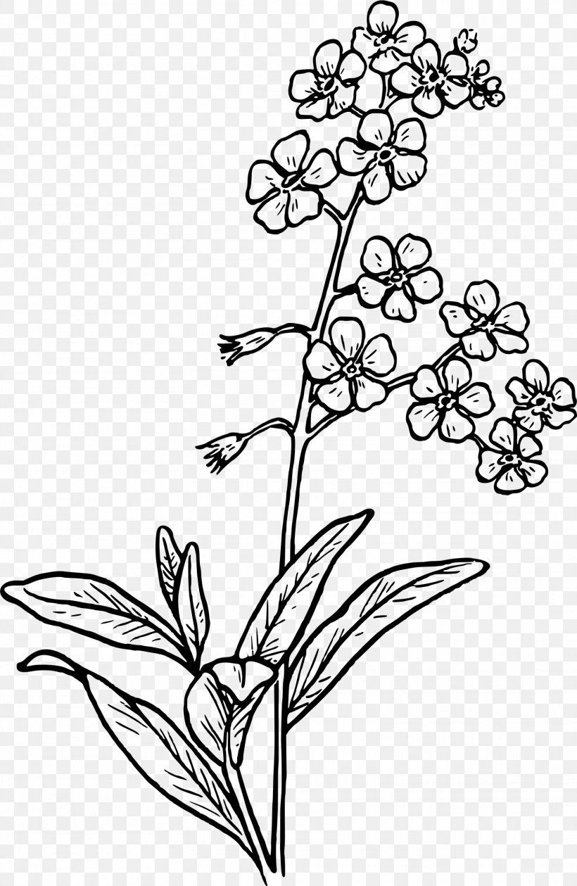 Drawing Flower Watercolor Painting Sketch, PNG, 1562x2400px, Drawing, Art, Black And White, Branch, Coloring Book Download Free