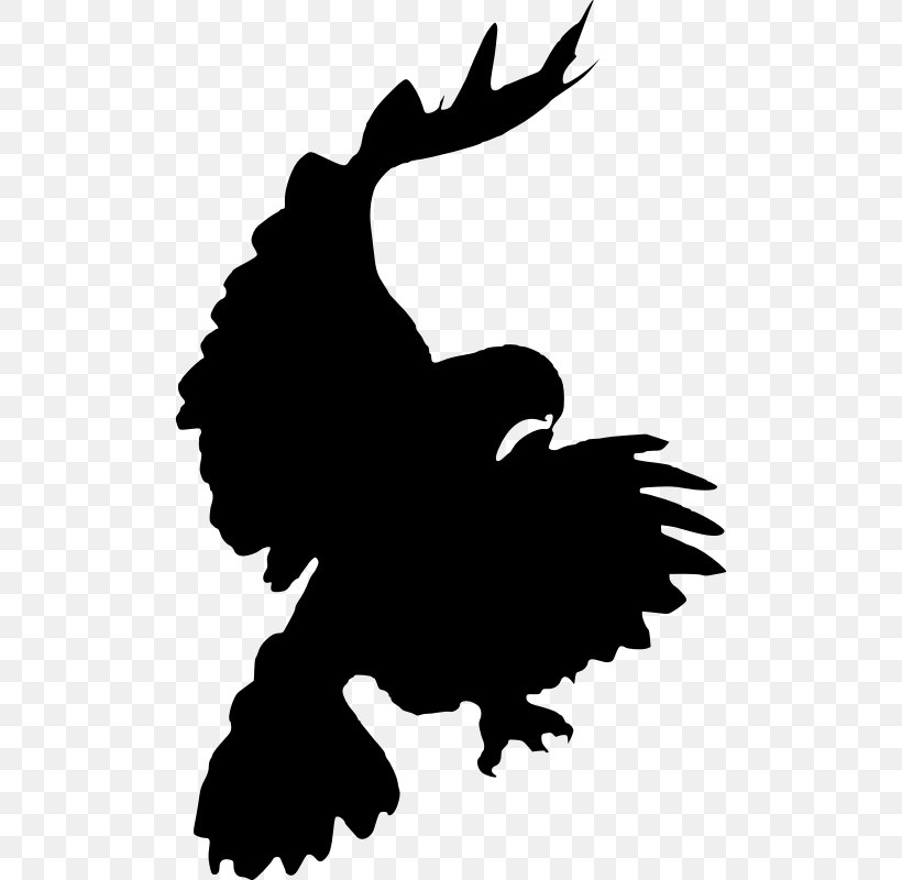 Bird Red-tailed Hawk Silhouette Clip Art, PNG, 502x800px, Bird, Accipitriformes, Artwork, Beak, Bird Of Prey Download Free