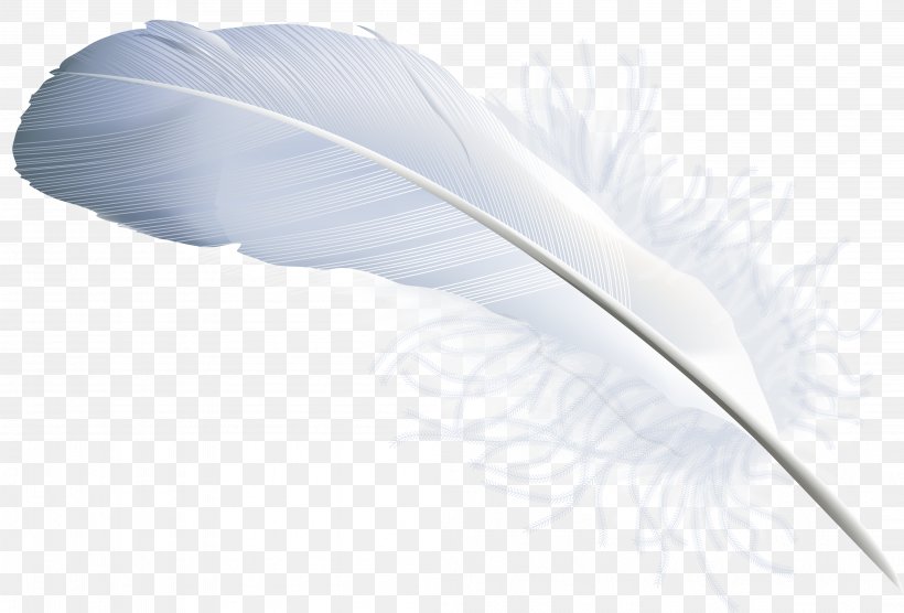 Feather Quill Material Angle, PNG, 4199x2850px, Feather, Material, Microsoft Azure, Quill, Wing Download Free