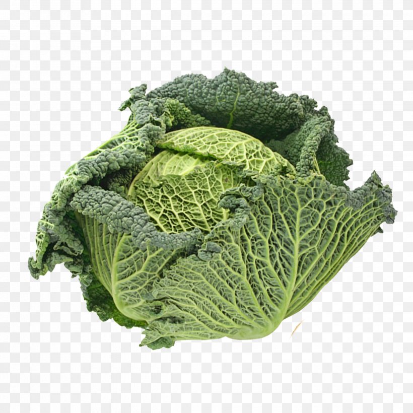 Broccoli Savoy Cabbage Spring Greens Vegetable, PNG, 2480x2480px, Cabbage, Broccoli, Chart, Chinese Cabbage, Collard Greens Download Free