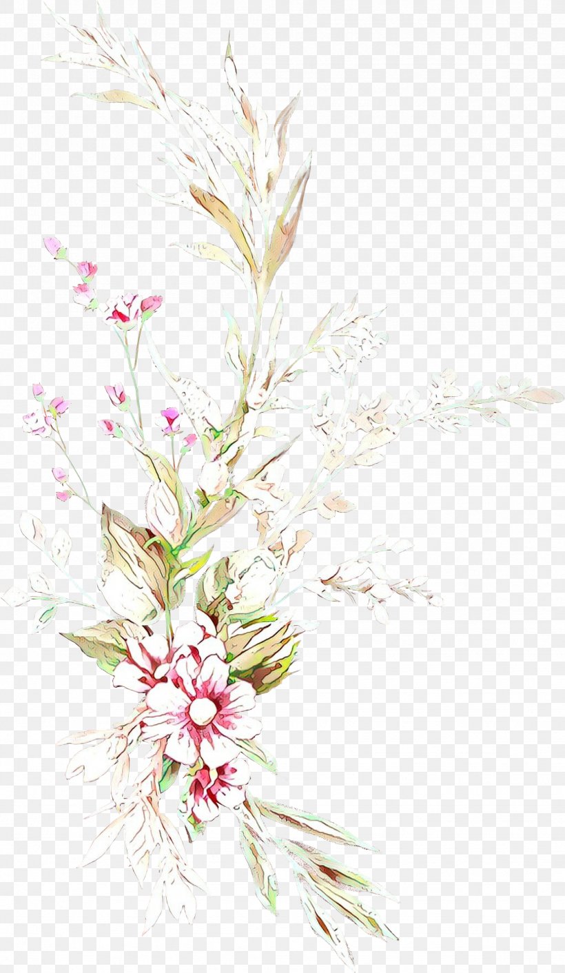 Flower Plant Flowering Plant Pink Grass Family, PNG, 1741x2998px, Cartoon, Cut Flowers, Flower, Flowering Plant, Grass Download Free