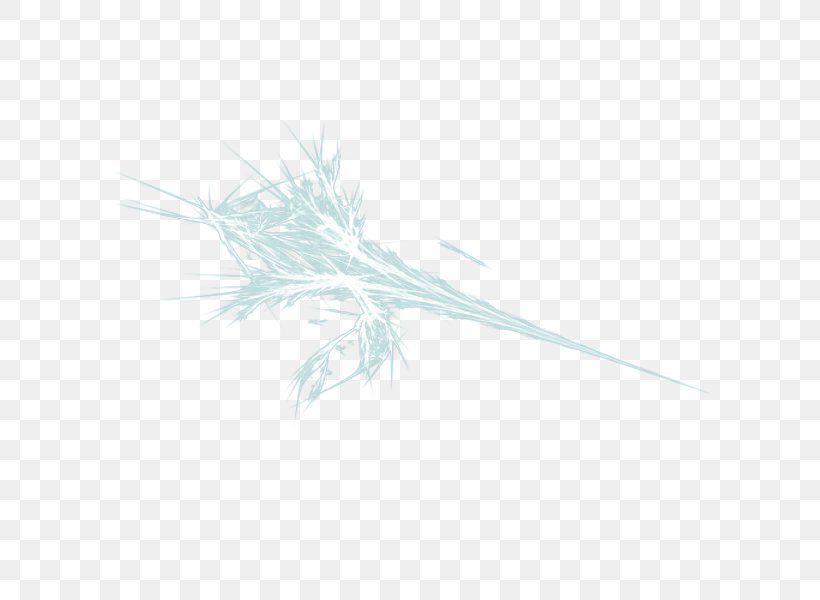 Grasses Line Family, PNG, 600x600px, Grasses, Family, Feather, Grass, Grass Family Download Free