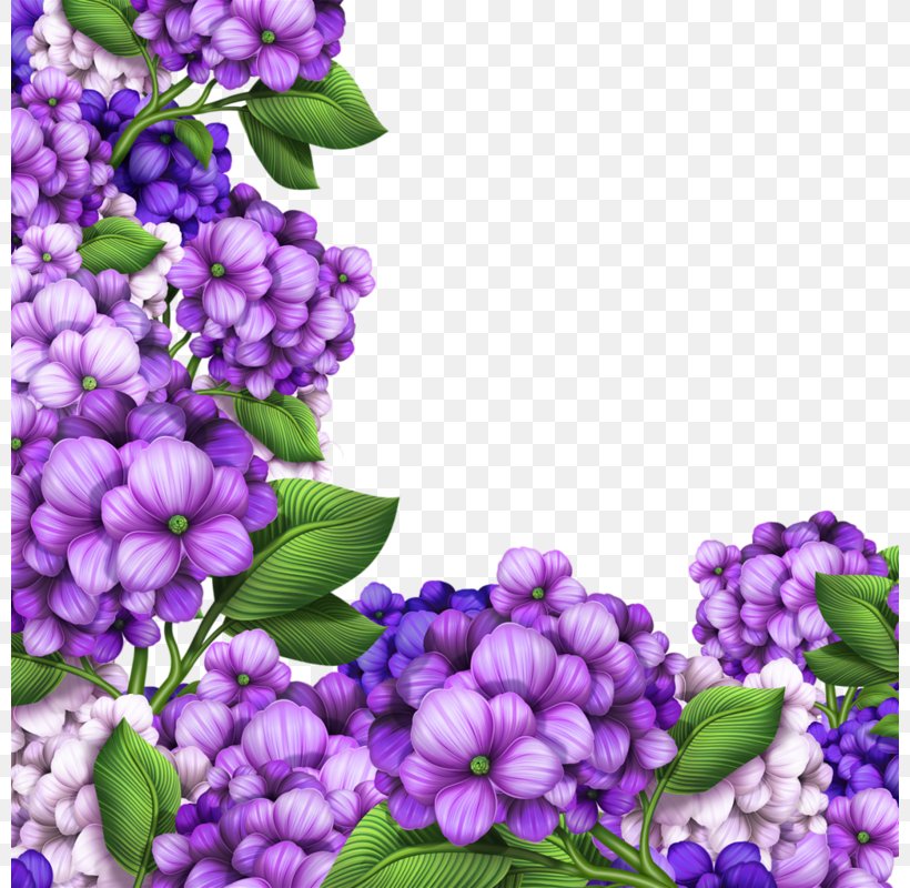 Hydrangea Flower Photography Royalty-free Clip Art, PNG, 800x800px, Hydrangea, Annual Plant, Banco De Imagens, Color, Floral Design Download Free