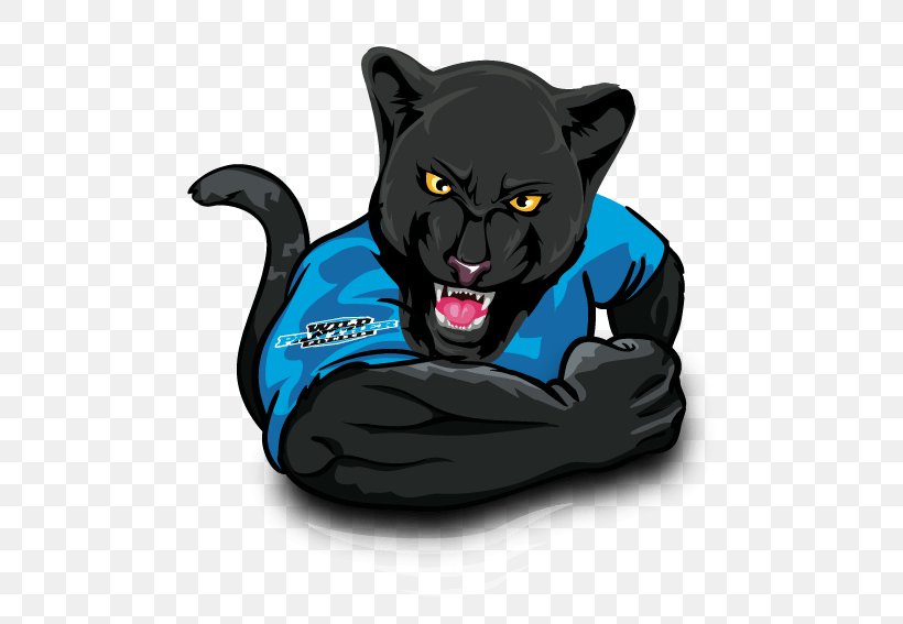 Black Cat Panther Physical Fitness Exercise, PNG, 567x567px, Black Cat, Animal, Big Cats, Black Panther, Carnivoran Download Free