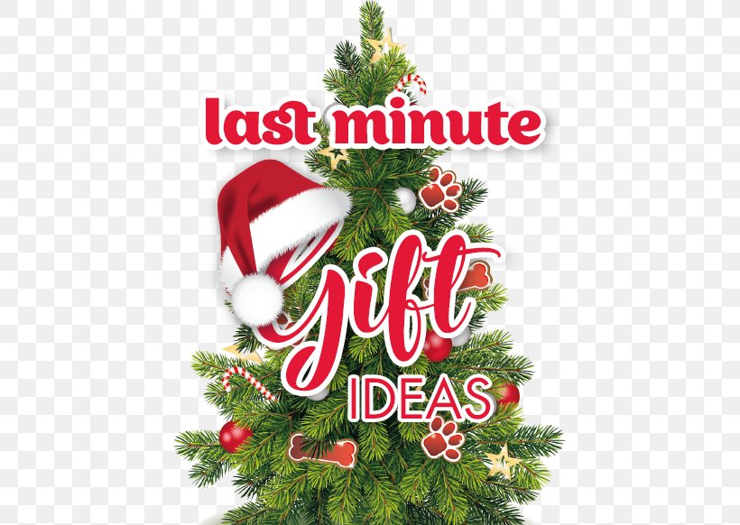 Christmas Tree Christmas Ornament Clip Art, PNG, 435x582px, Christmas Tree, Advent Wreath, Christmas, Christmas And Holiday Season, Christmas Card Download Free