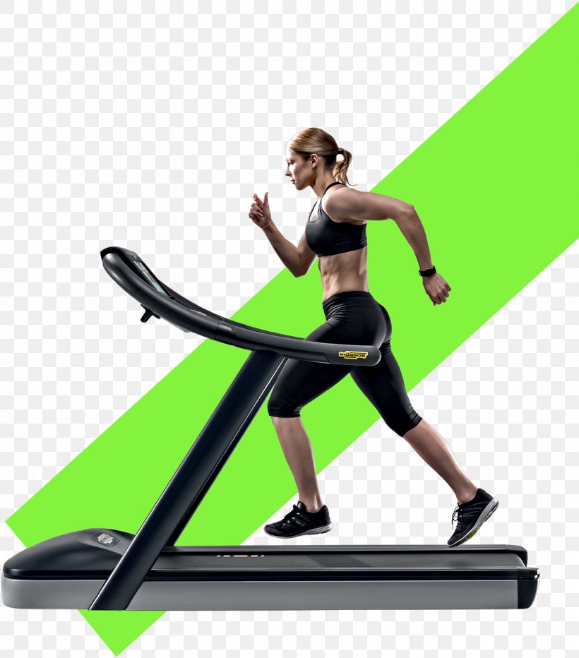 Exercise Equipment Physical Exercise Exercise Machine Fitness Centre Physical Fitness, PNG, 1240x1410px, Exercise Equipment, Balance, Bodybuilding, Exercise Balls, Exercise Machine Download Free