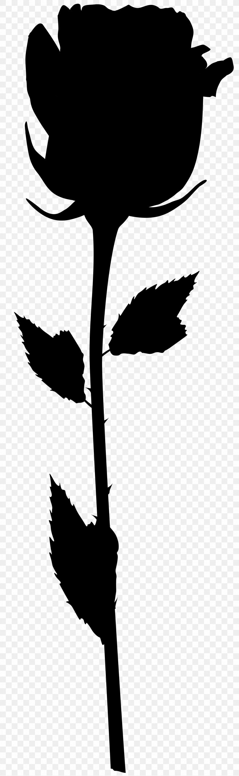 Flower Clip Art Plant Stem Leaf Silhouette, PNG, 2465x8000px, Flower, Beak, Blackandwhite, Botany, Flowering Plant Download Free