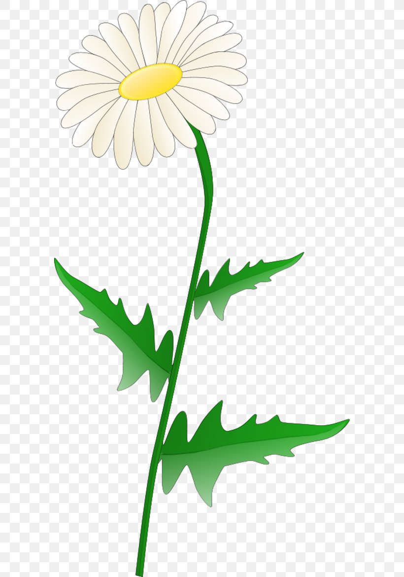 Free Content Common Daisy Clip Art, PNG, 600x1170px, Free Content, Artwork, Blog, Chrysanths, Common Daisy Download Free