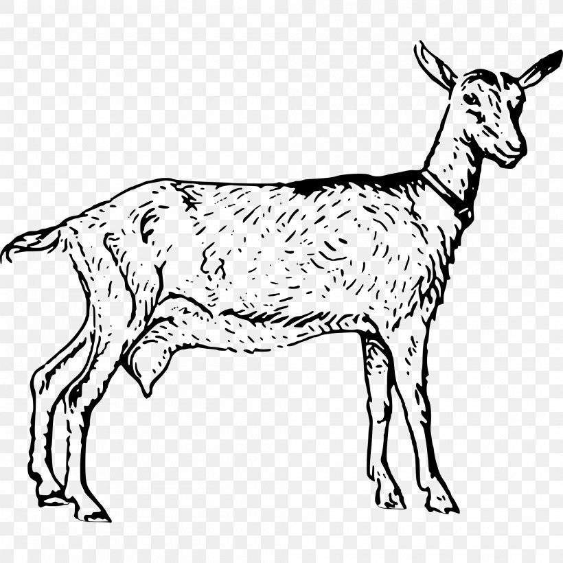 Goat Clip Art, PNG, 2000x2000px, Goat, Animal Figure, Black And White, Cattle Like Mammal, Cow Goat Family Download Free