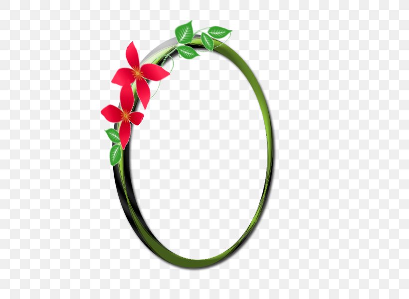 Image Graphics Illustration Photograph Oval, PNG, 500x600px, Oval, Ellipse, Fashion Accessory, Flower, Green Download Free