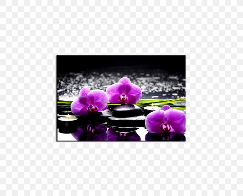 Painting Orchis Orchidea Flower Orchids, PNG, 600x660px, Painting, Bathroom, Canvas, Drawing Room, Flower Download Free