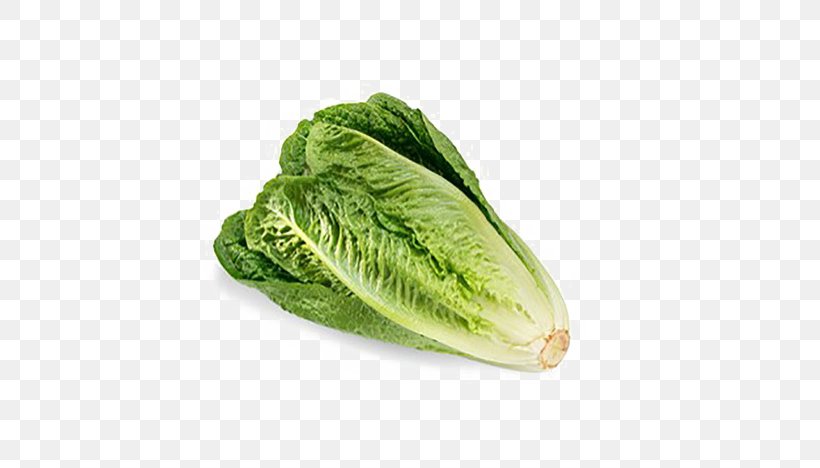 Romaine Lettuce Canada 2011 Germany E. Coli O104:H4 Outbreak, PNG, 673x468px, Romaine Lettuce, Cabbage, Canada, Chard, Cruciferous Vegetables Download Free