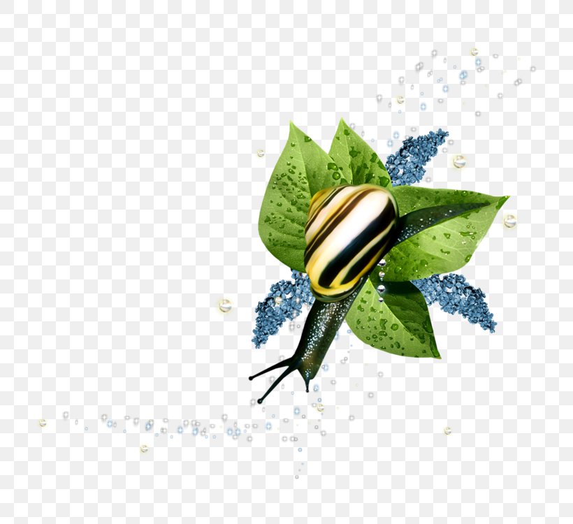 Snail Orthogastropoda Slug Clip Art, PNG, 750x750px, Snail, Animal, Flower, Insect, Leaf Download Free