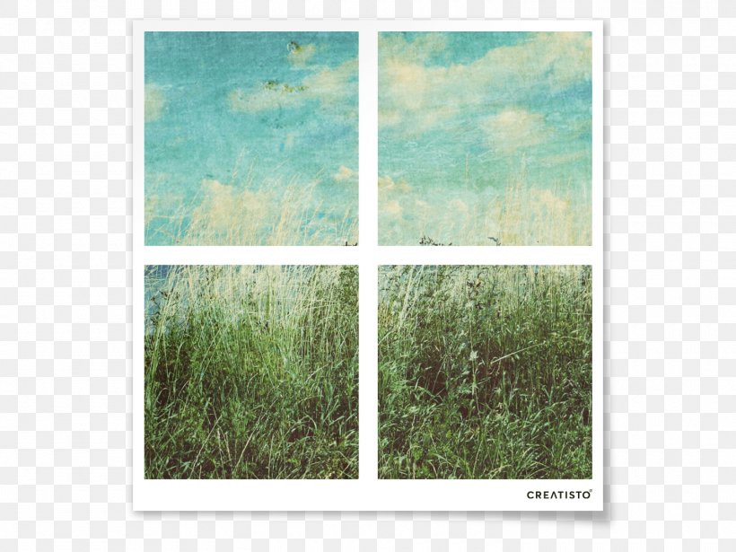 Window Picture Frames Green Ecosystem, PNG, 1500x1125px, Window, Ecosystem, Grass, Grass Family, Green Download Free
