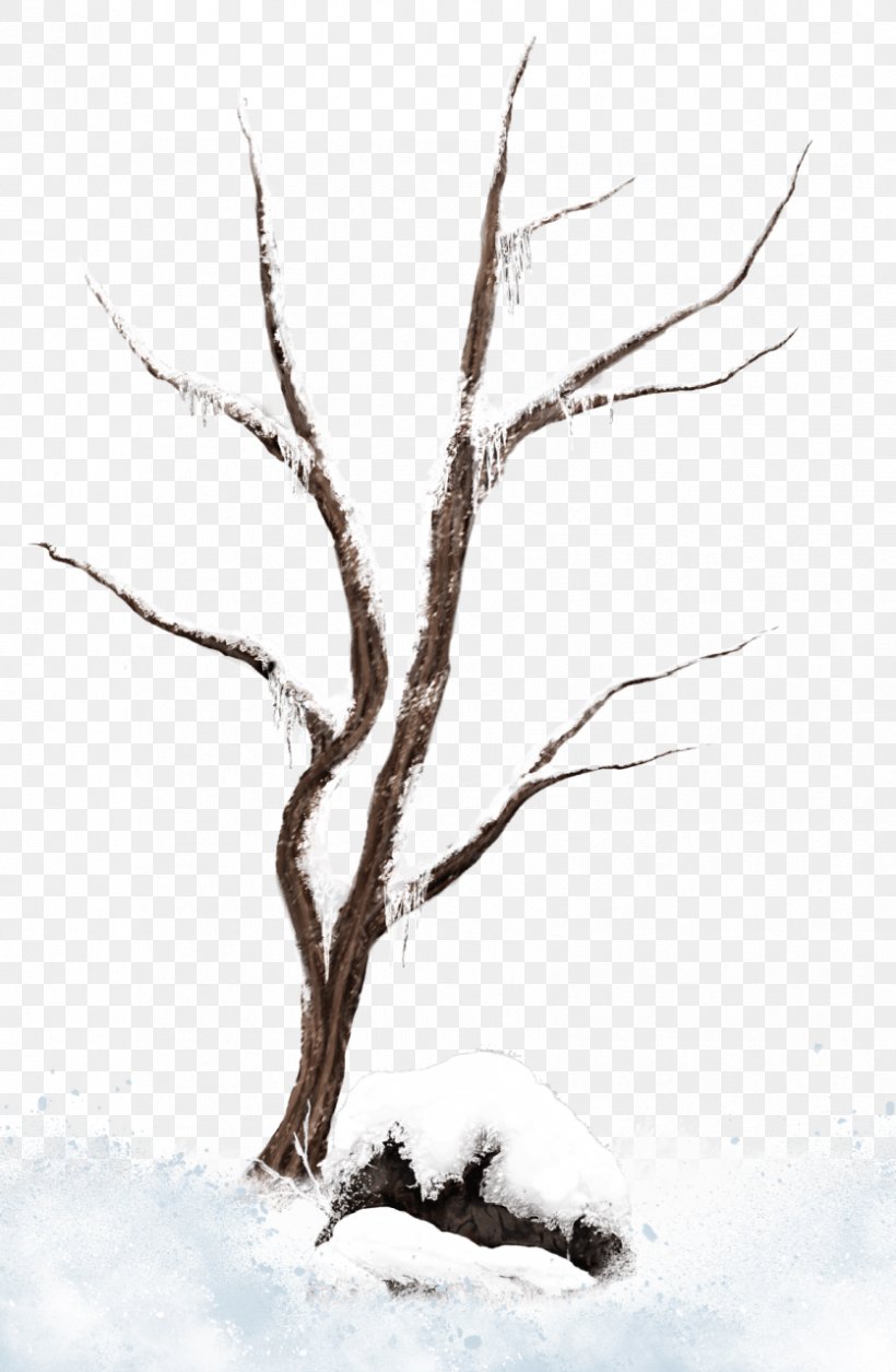 Branch Tree Snow Clip Art, PNG, 836x1280px, Branch, Art, Black And White, Christmas Tree, Drawing Download Free