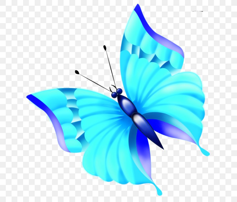 Brush-footed Butterflies Butterfly Insect Clip Art, PNG, 667x699px, Brushfooted Butterflies, Arthropod, Azure, Brush Footed Butterfly, Butterflies And Moths Download Free