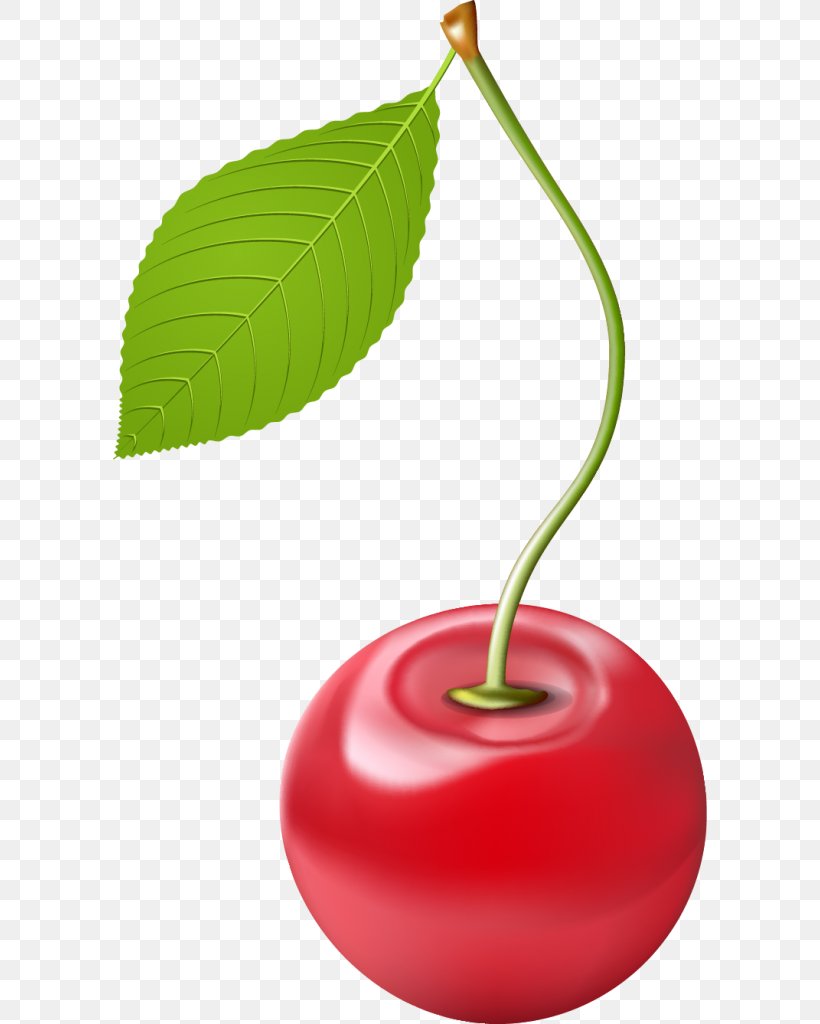 Drawing, PNG, 594x1024px, Drawing, Art, Berry, Cherry, Food Download Free