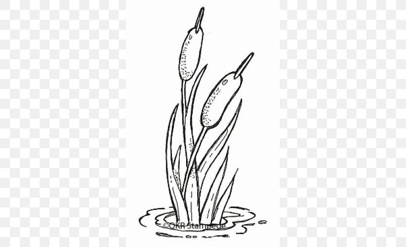 Flower Line Art, PNG, 500x500px, Cattail, Blackandwhite, Coloring Book, Digital Stamp, Drawing Download Free