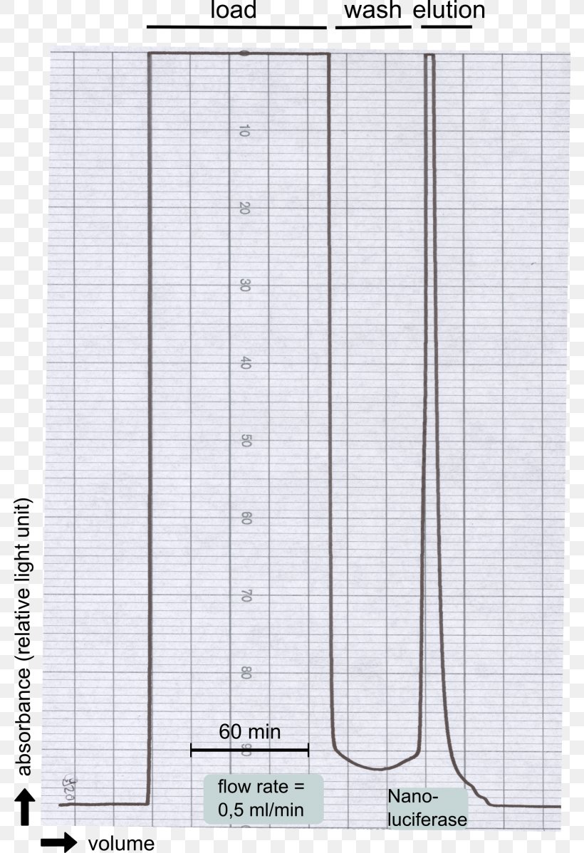 Paper Line Angle, PNG, 782x1198px, Paper, Area, Structure Download Free