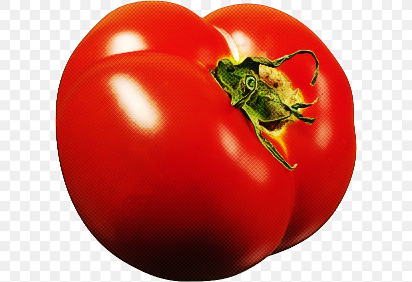 Tomato, PNG, 600x562px, Red, Bush Tomato, Food, Fruit, Natural Foods Download Free