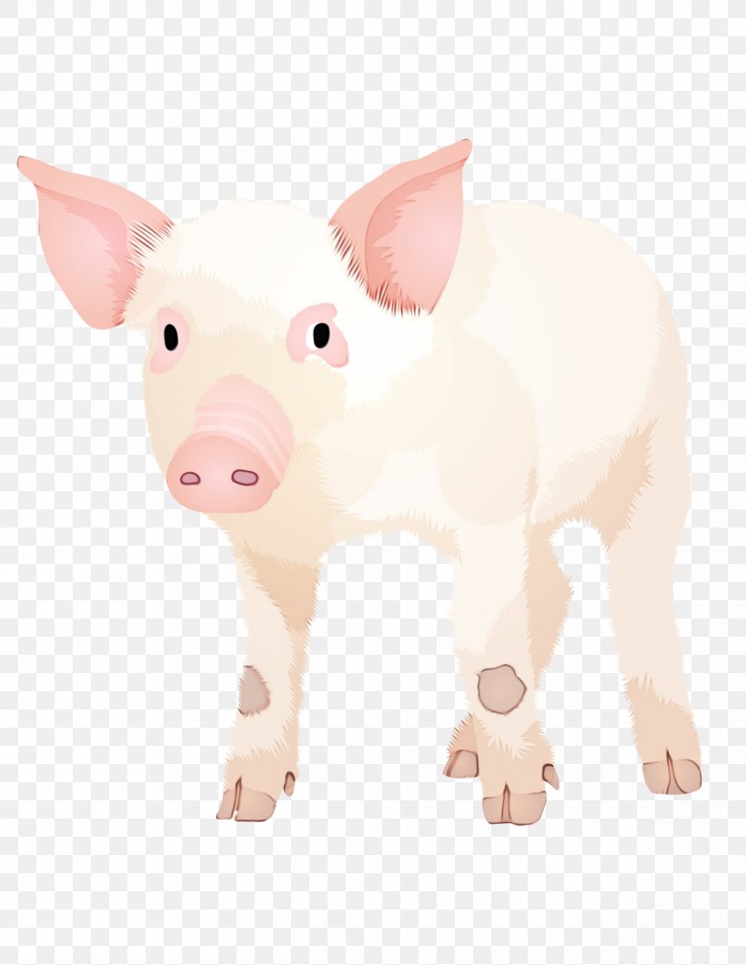 Pig Cartoon, PNG, 1188x1538px, Pig, Animal, Animal Figure, Fawn, Livestock Download Free