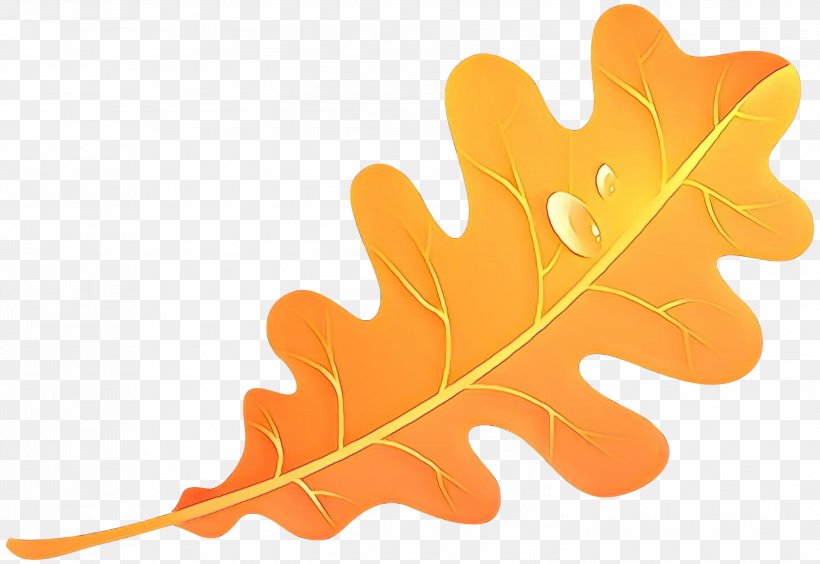 Clip Art Image Vector Graphics Free Content, PNG, 2999x2063px, Autumn, Autumn Leaf Color, Black Maple, Leaf, Maple Leaf Download Free