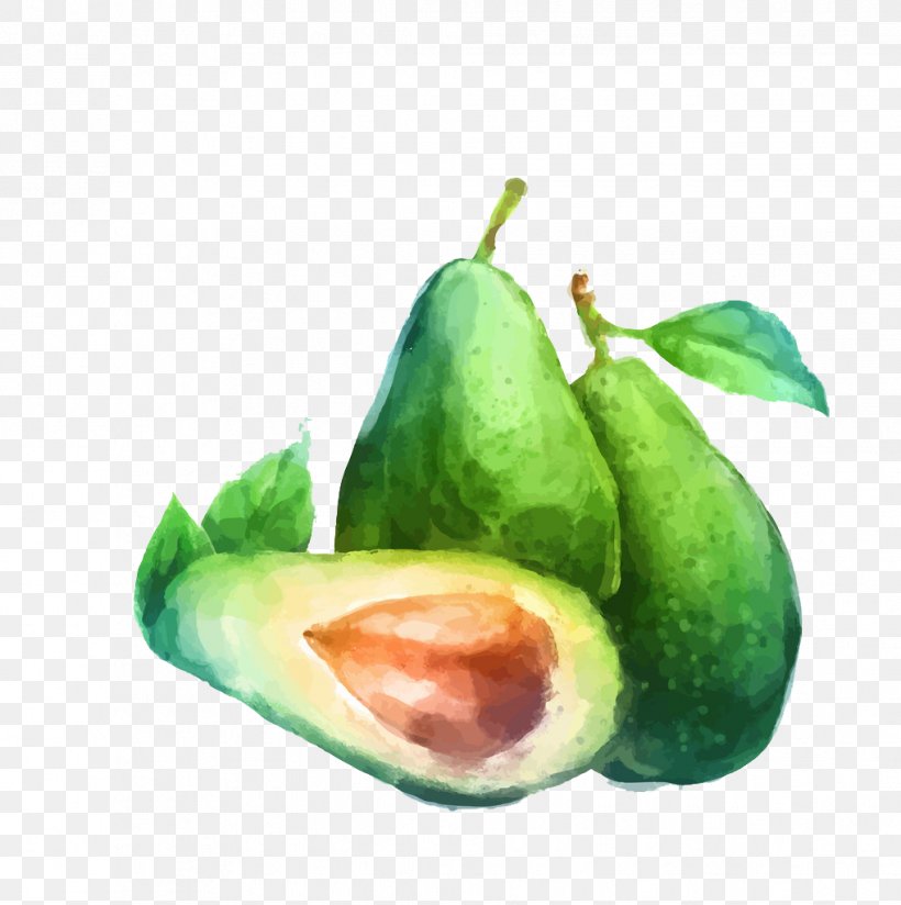 Watercolor Painting Fruit Drawing Illustration, PNG, 1018x1024px, Watercolor Painting, Avocado, Drawing, Food, Fruit Download Free