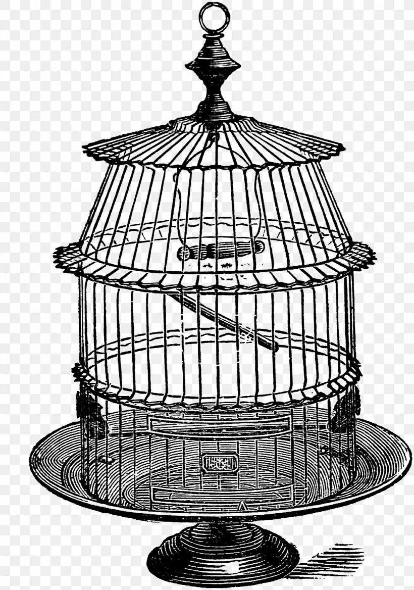 Birdcage Black And White Drawing Clip Art, PNG, 1067x1521px, Birdcage, Art, Black And White, Cage, Drawing Download Free
