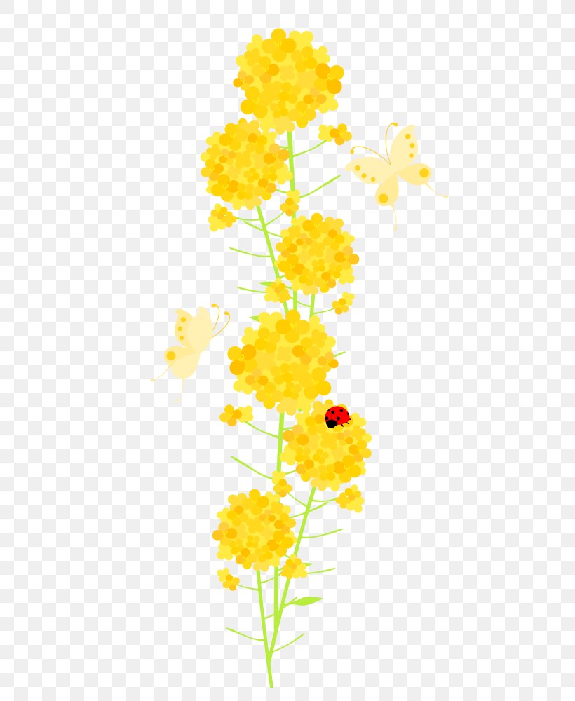 Common Sunflower Cut Flowers Floral Design Chrysanthemum Plant Stem, PNG, 500x1000px, Common Sunflower, Chrysanthemum, Chrysanths, Cut Flowers, Flora Download Free