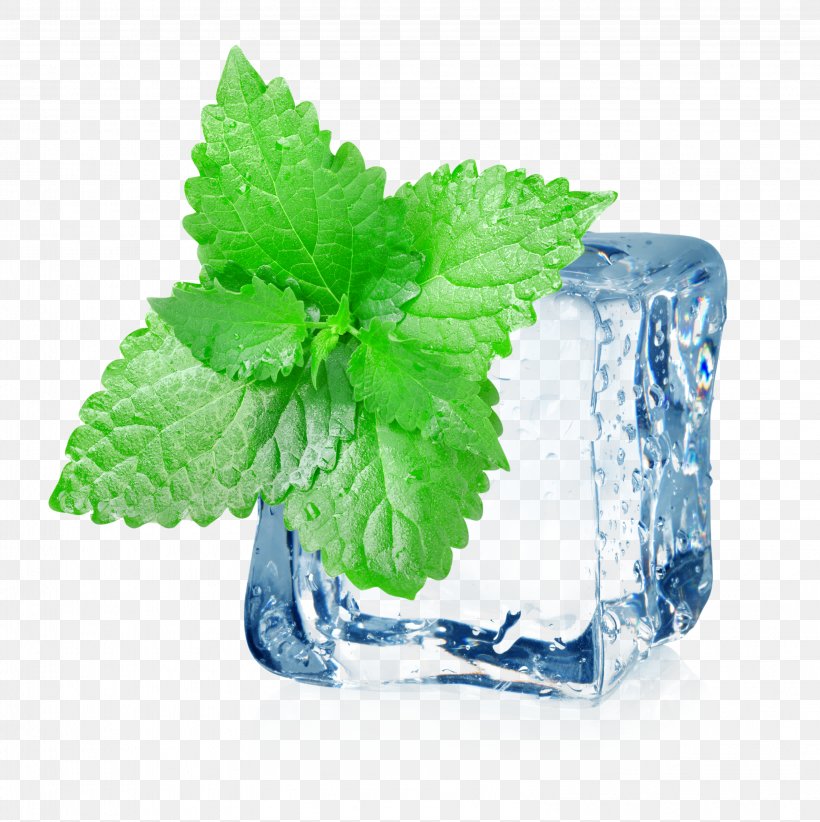 Iced Tea Mint Electronic Cigarette Aerosol And Liquid Menthol, PNG, 3196x3204px, Iced Tea, Blue Ice, Cold, Electronic Cigarette, Flavor Download Free