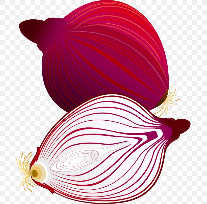 Onion Vegetable, PNG, 691x810px, Onion, Auglis, Eggplant, Magenta, Pink Download Free
