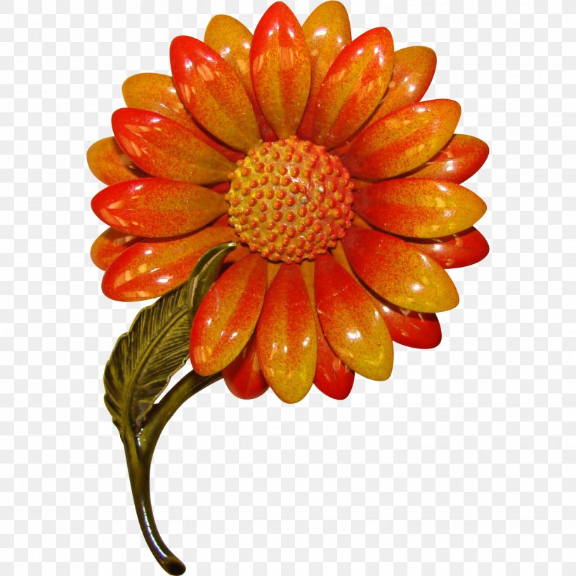 Transvaal Daisy Cut Flowers Chrysanthemum Dahlia, PNG, 1448x1448px, Transvaal Daisy, Chrysanthemum, Chrysanths, Cut Flowers, Dahlia Download Free