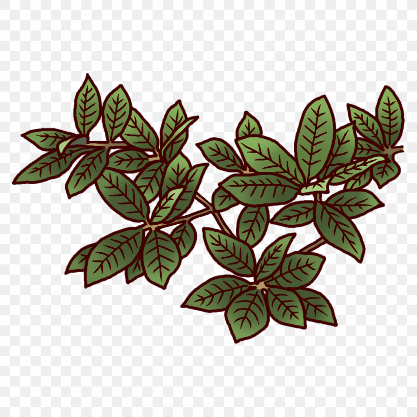 Flower Leaf Plants Science Plant Structure, PNG, 1400x1400px, Flower, Biology, Leaf, Plant Structure, Plants Download Free