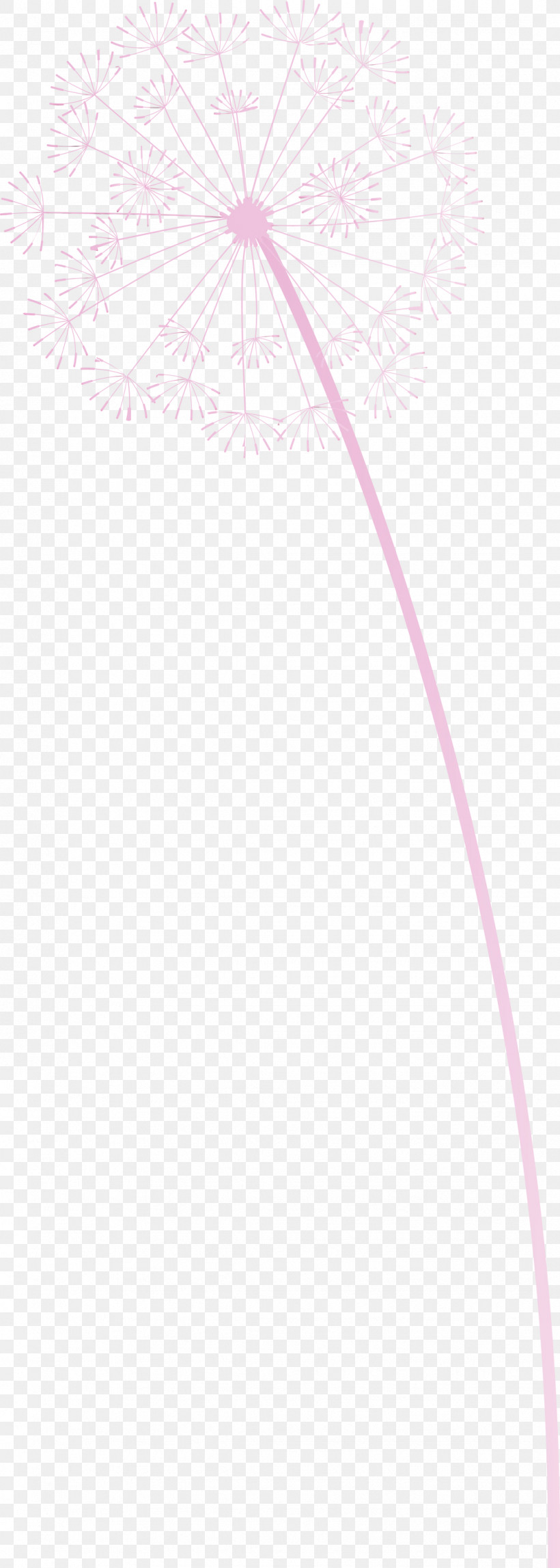 Flower Petal Tree Line Meter, PNG, 1072x3000px, Dandelion, Biology, Flower, Geometry, Line Download Free