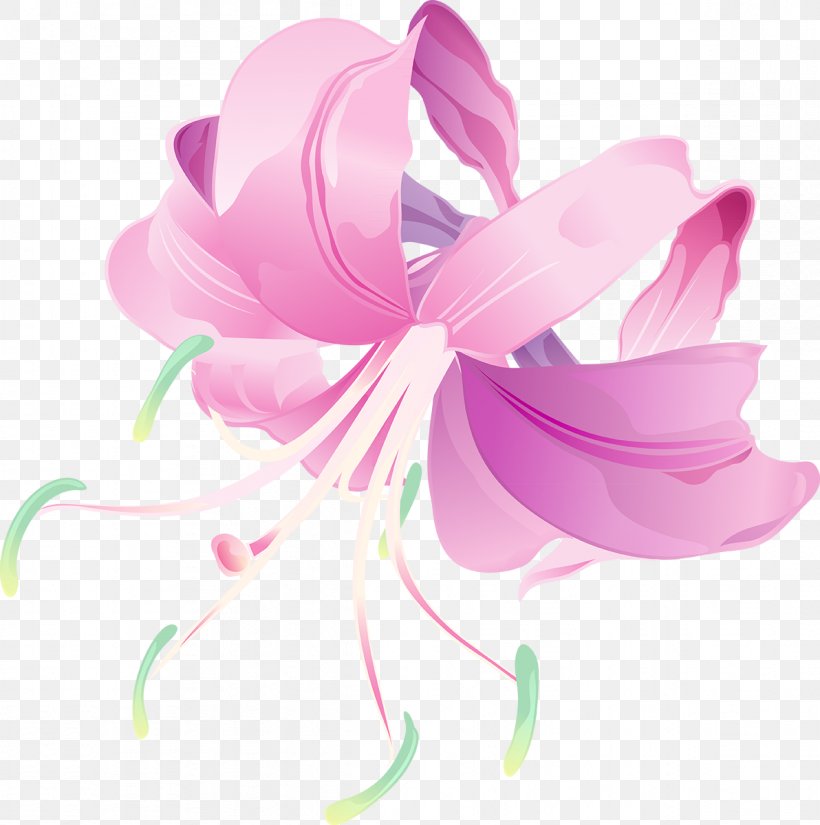 Petal Pink M Flowering Plant, PNG, 1192x1200px, Petal, Flower, Flowering Plant, Magenta, Pink Download Free